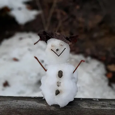 Susis ラートシュタット