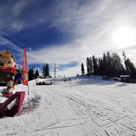 Susis Apartament Radstadt