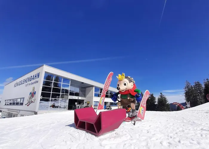 Susis Apartment Radstadt