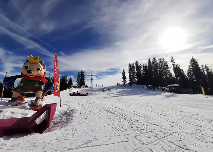 Susis Apartment Radstadt